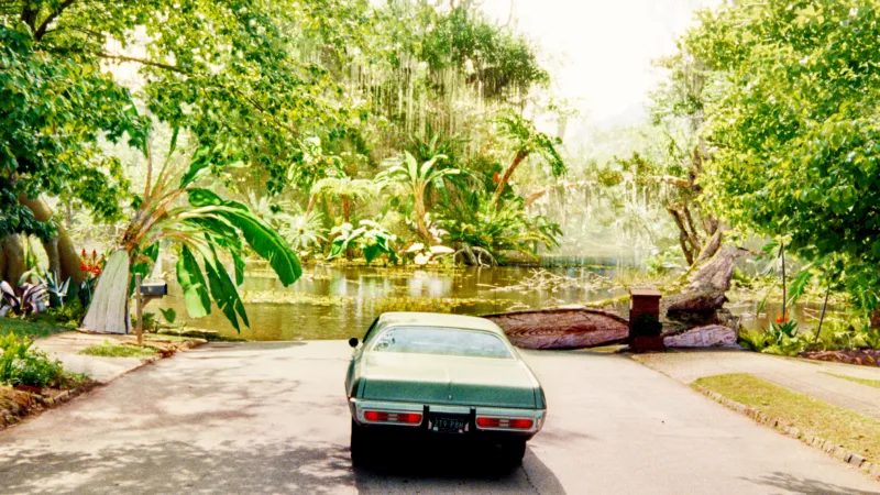 Movie Review: 'The End of Oak Street' is a gonzo good time